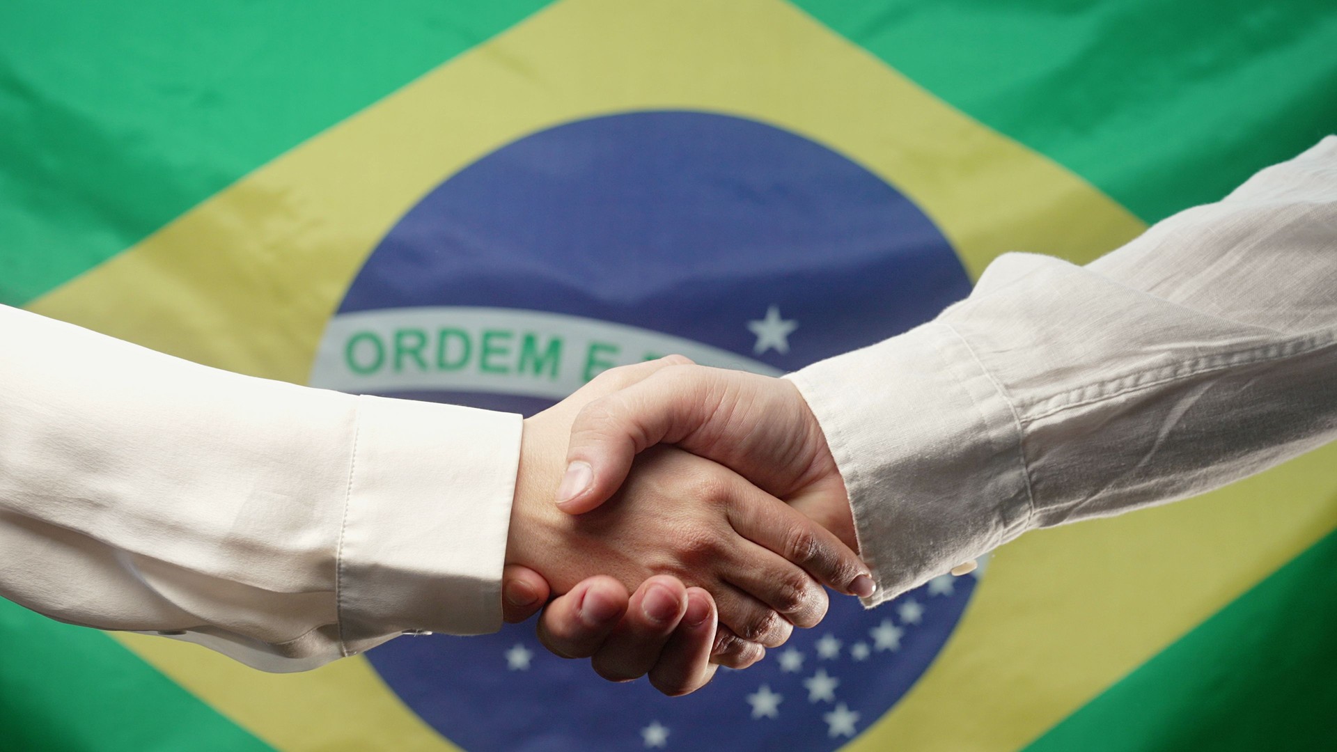 Brazilian Man And Woman Business Partners Shaking Hands. Handshake, Make A Deal